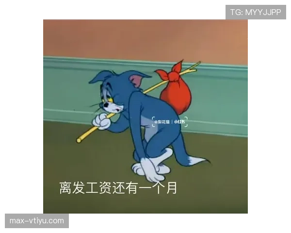 掌敏洁家的猫喝的水都比我工资高